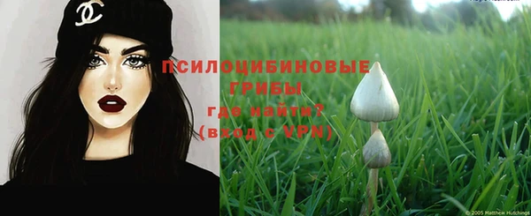 стафф Каменск-Шахтинский