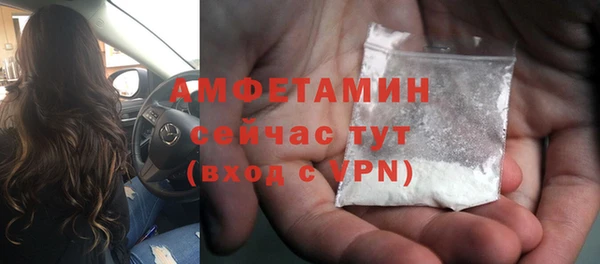ешки Каменногорск