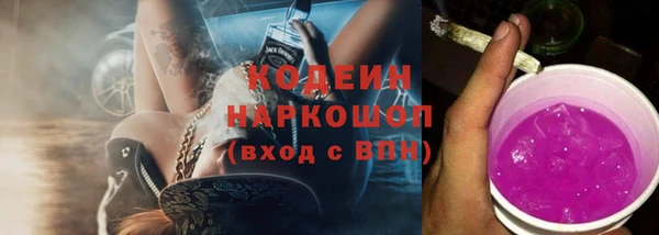тгк Каменка