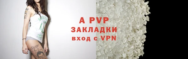 ешки Каменногорск