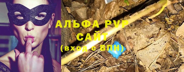 тгк Каменка