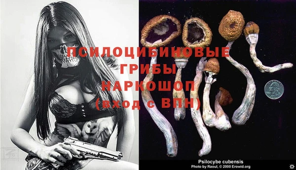 ешки Каменногорск