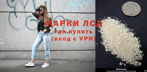 стафф Каменск-Шахтинский