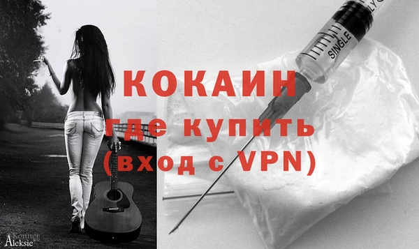 тгк Каменка