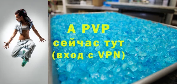 тгк Каменка