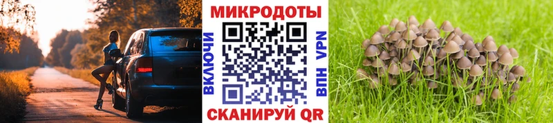 Псилоцибиновые грибы мицелий  Купить  Бугуруслан 